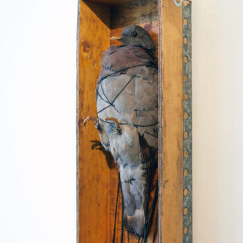 Teoksen nimi: Menneisyyden vanki