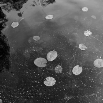 Teoksen nimi: Pyhäjärvi