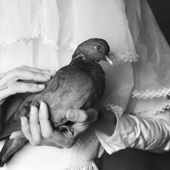 Teoksen nimi: Pulumorsian