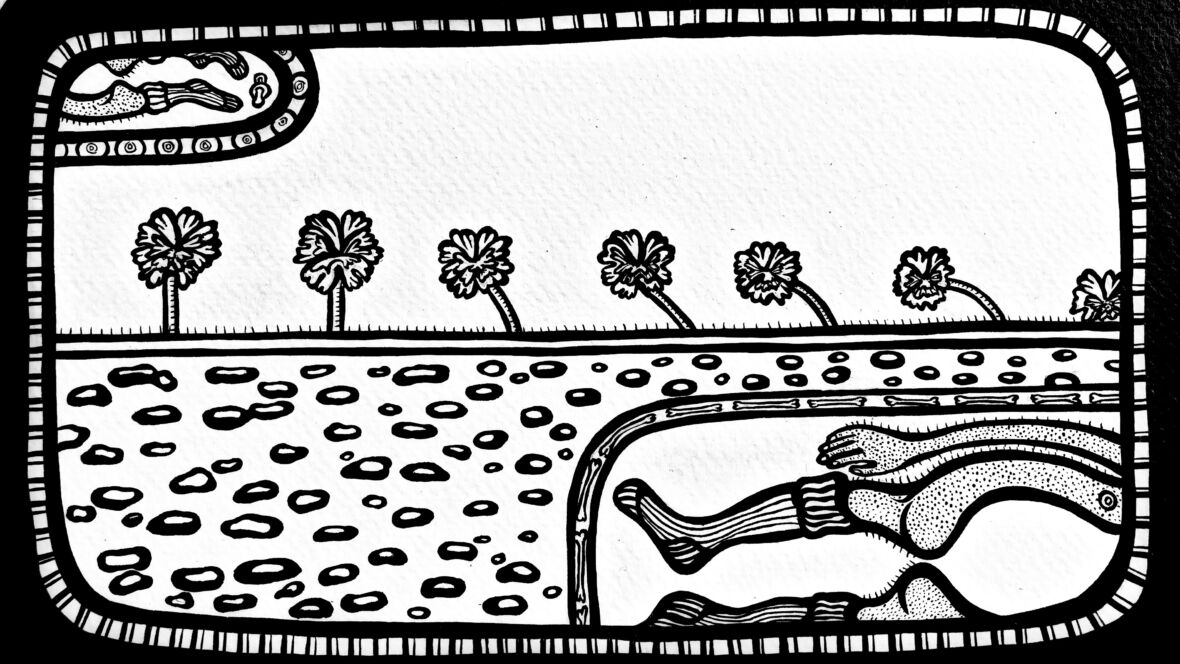 The Handmade wool Socks