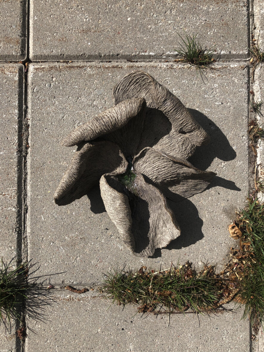 Melkein kuollut Karkuri II