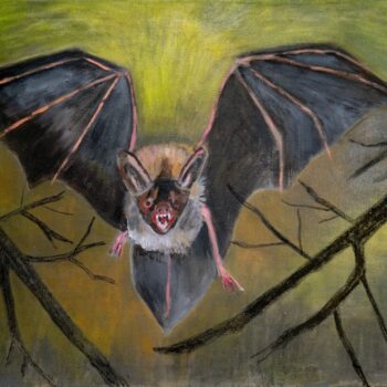 Name of the work: Pakkolasku