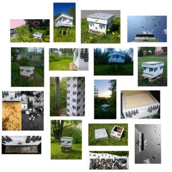 Name of the work: 2015- 2018	SaveHive mehiläispesät ympäristötaideteos mehiläispesillä