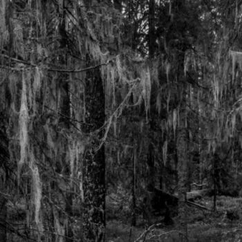 Teoksen nimi: HLA_12102011_102316