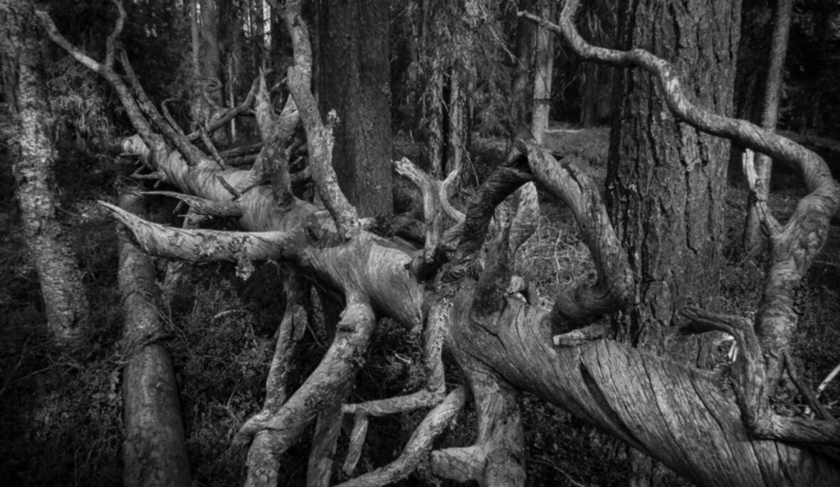 HLA_27052010_1422047