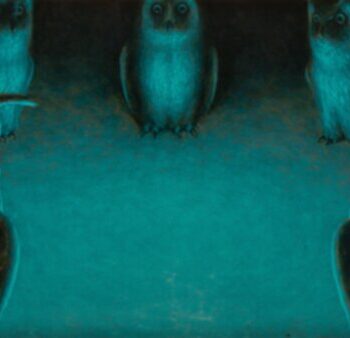 Teoksen nimi: Valkoisella alueella