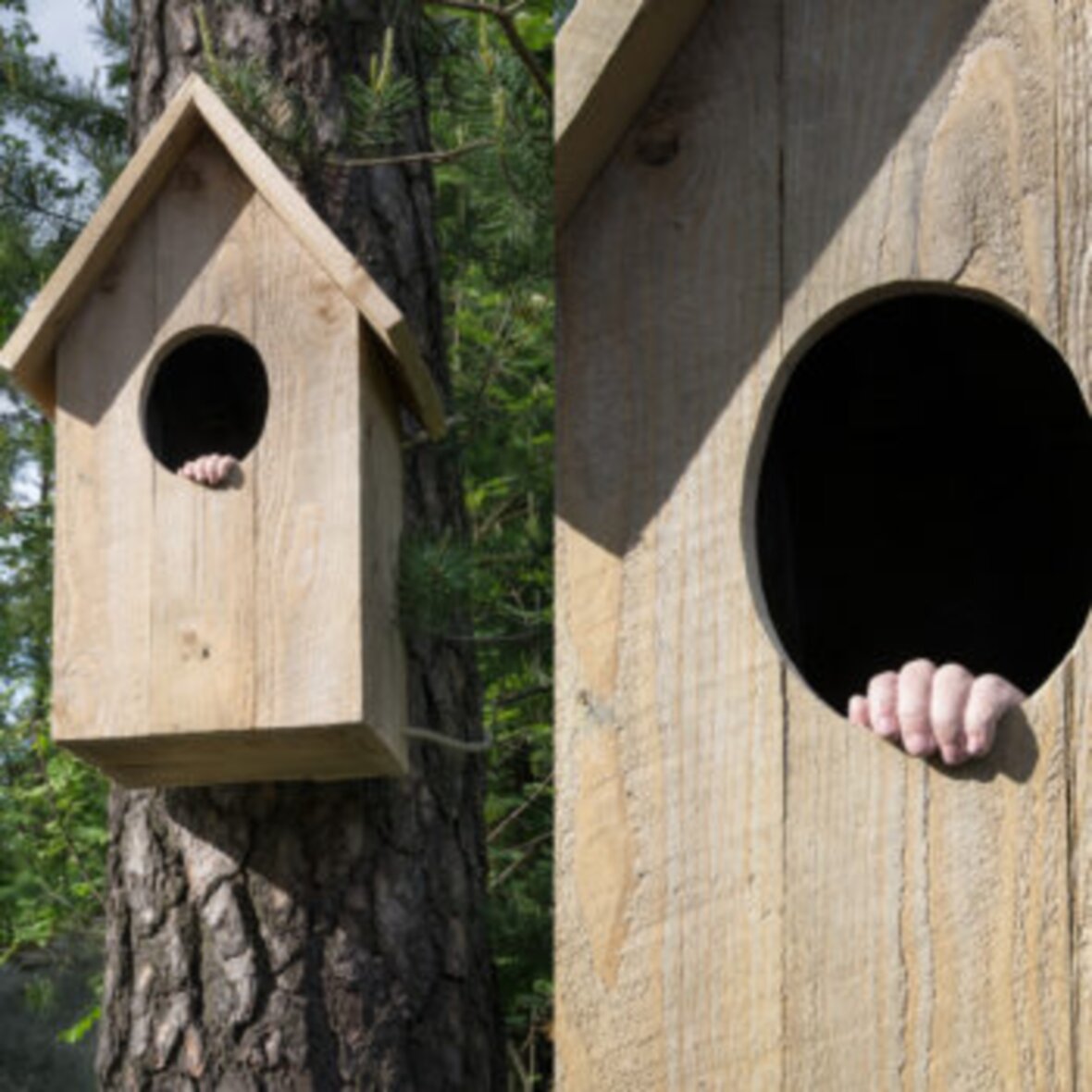 Additional work image