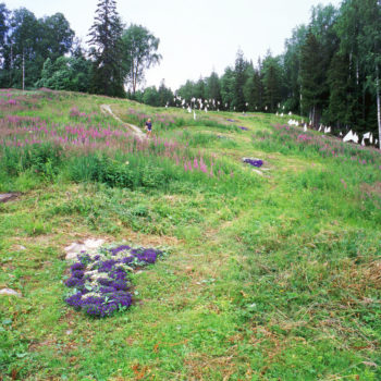 Name of the work: UKKO-KOLIN JÄLJILLÄ, 2000