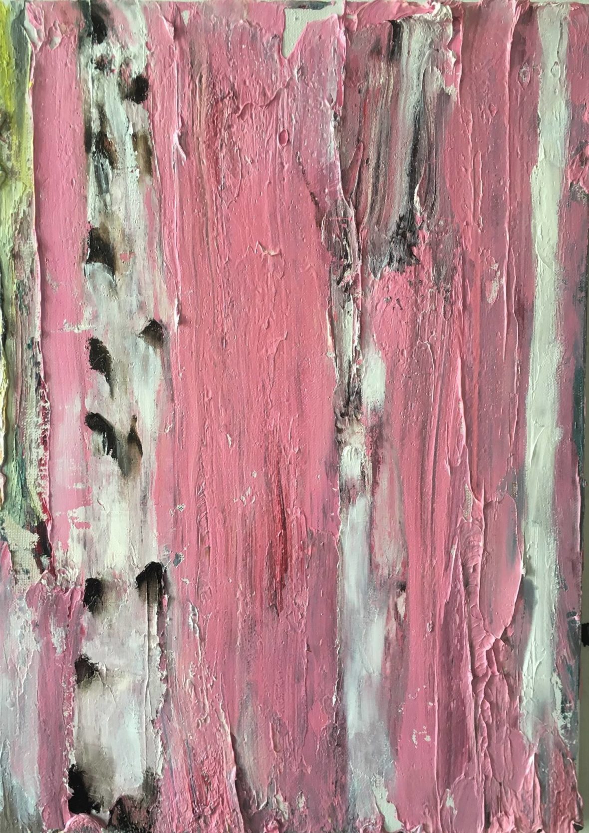 Vaaleanpunainen koivu – Pink Birch