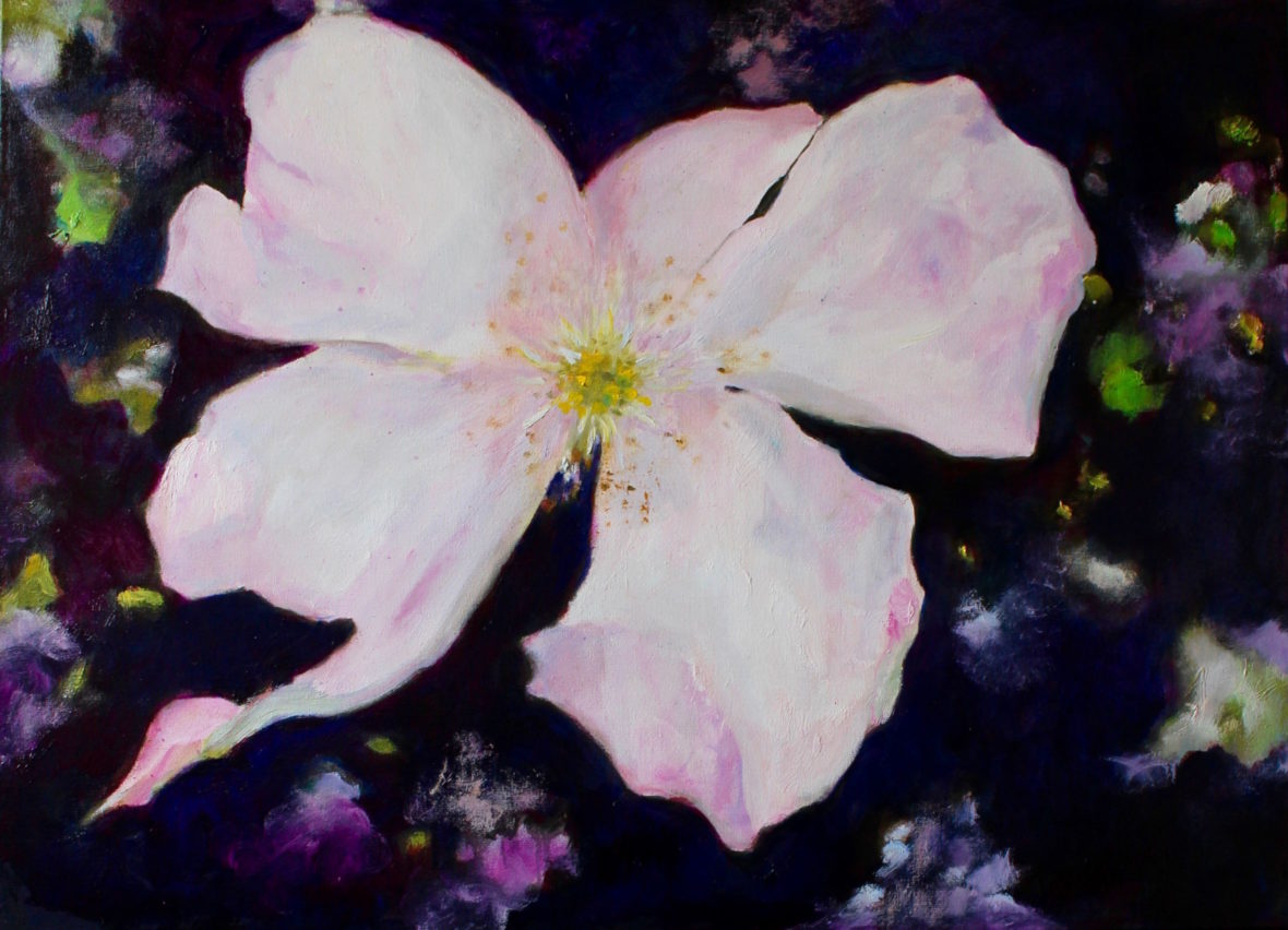 A Star in the evening sky