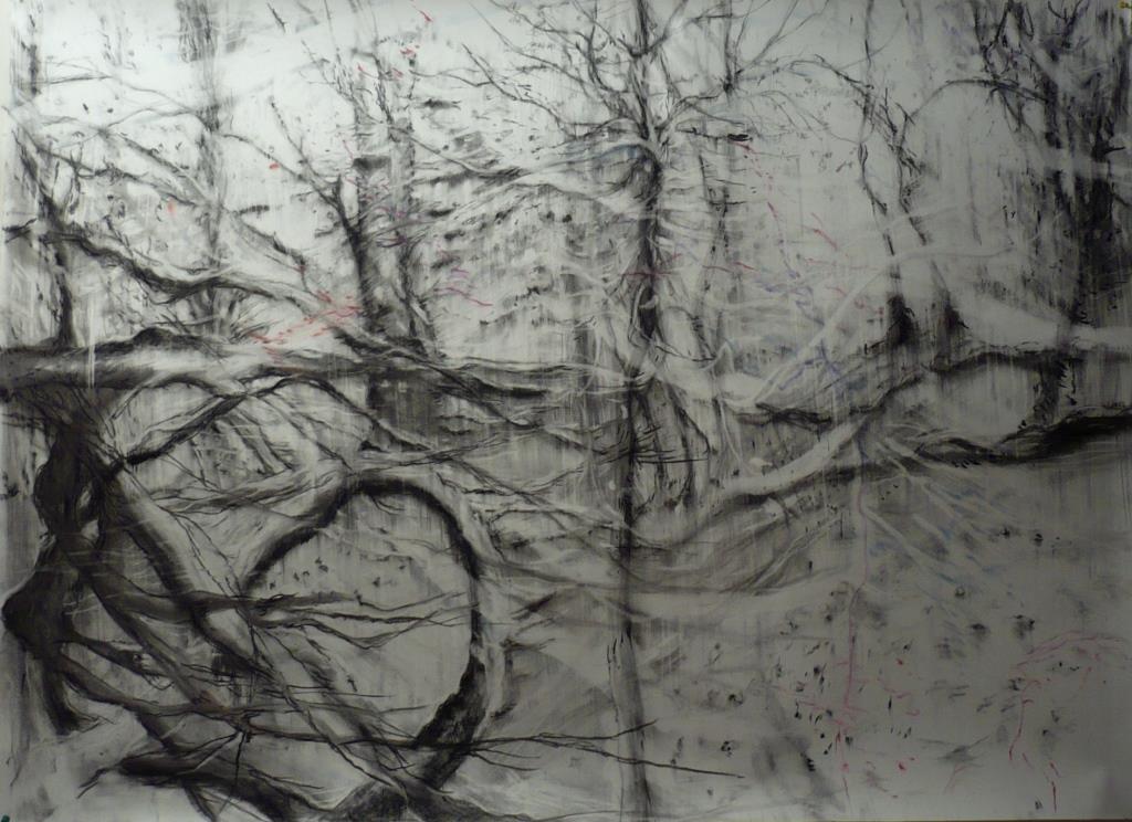Puiden laulu / L’air des arbres, lyijykynä, hiili, värikynä paperille 110cm x 150cm, 2018