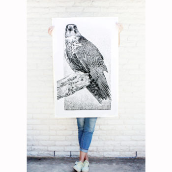 Name of the work: Red Tailed Hawk