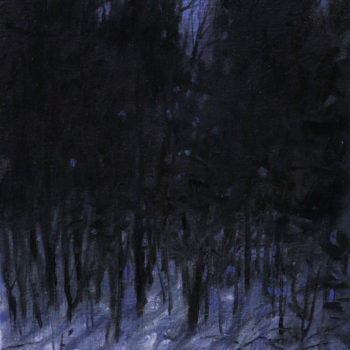Name of the work: Nocturnal