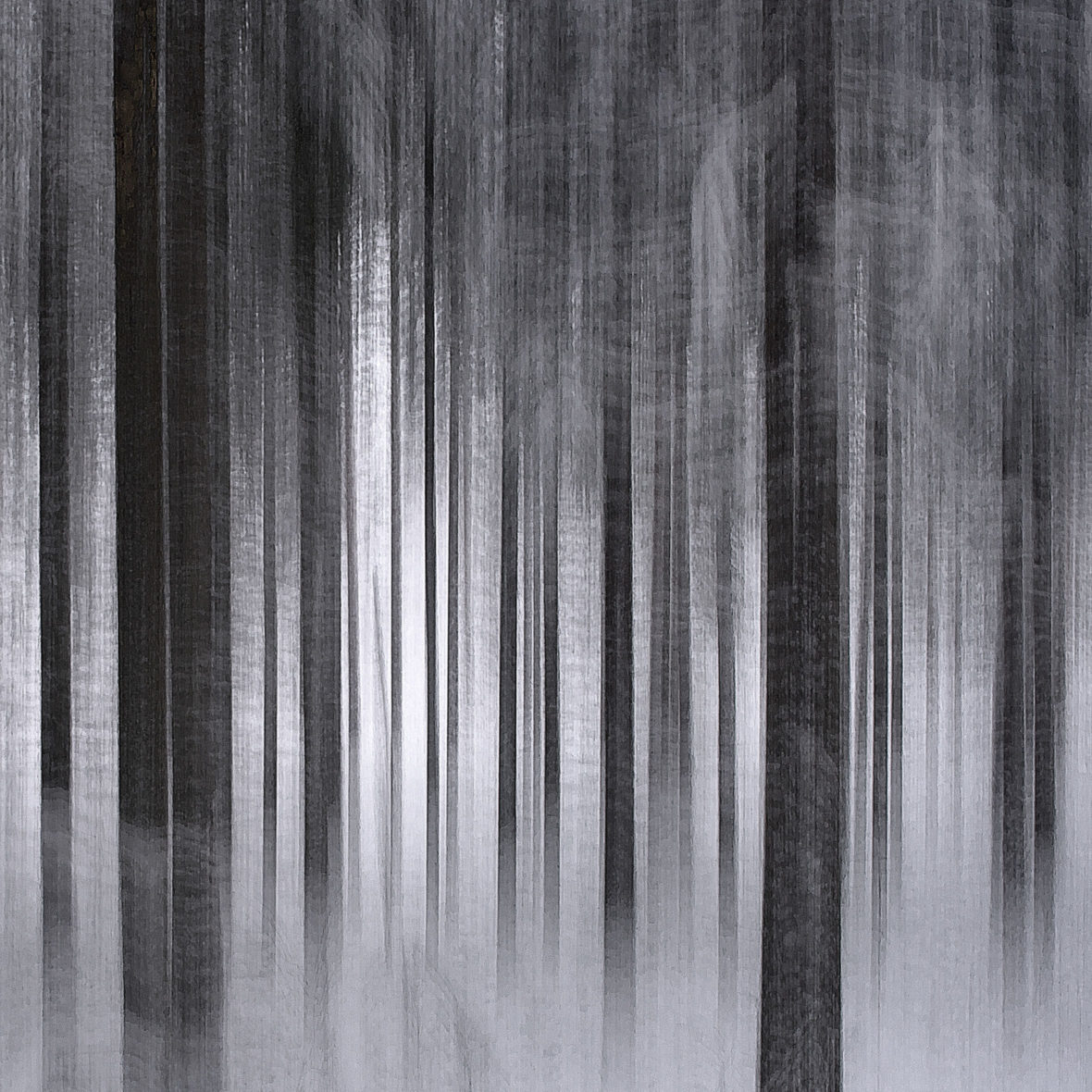 Metsä nukkuu / Sleeping Forest