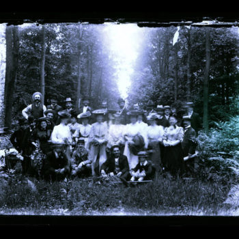 Teoksen nimi: Crinolines in the Woods, 2011