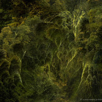Name of the work: Fractal Nature