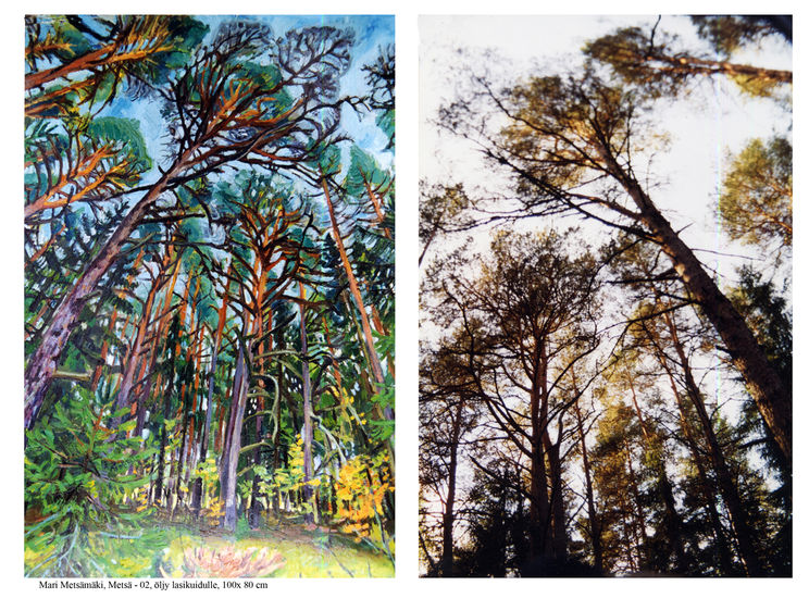 Metsän rakenne 2002