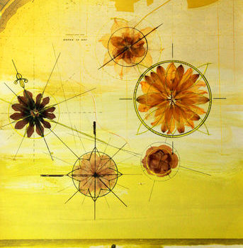 Name of the work: Compass Roses 6