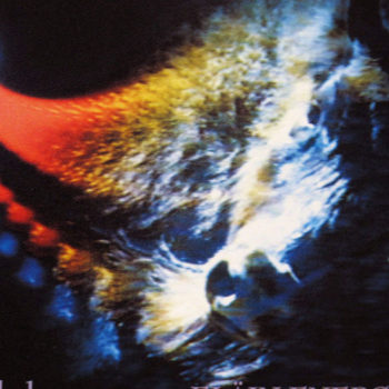 Teoksen nimi: ”Eläinenergia” videoinstallaatio 1995 Kluuvin galleria