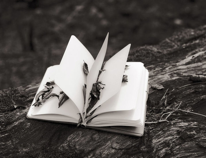 Kirja, the Book, 2009