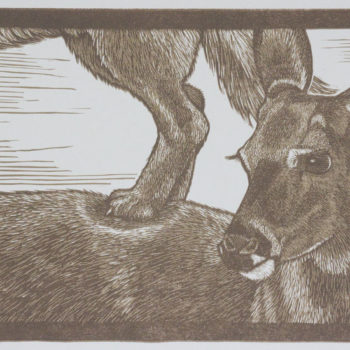 Name of the work: Animal Pyramid-Deer