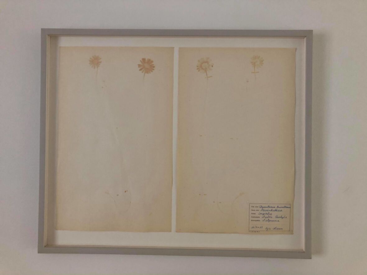 Aurinko laskee- sun sets