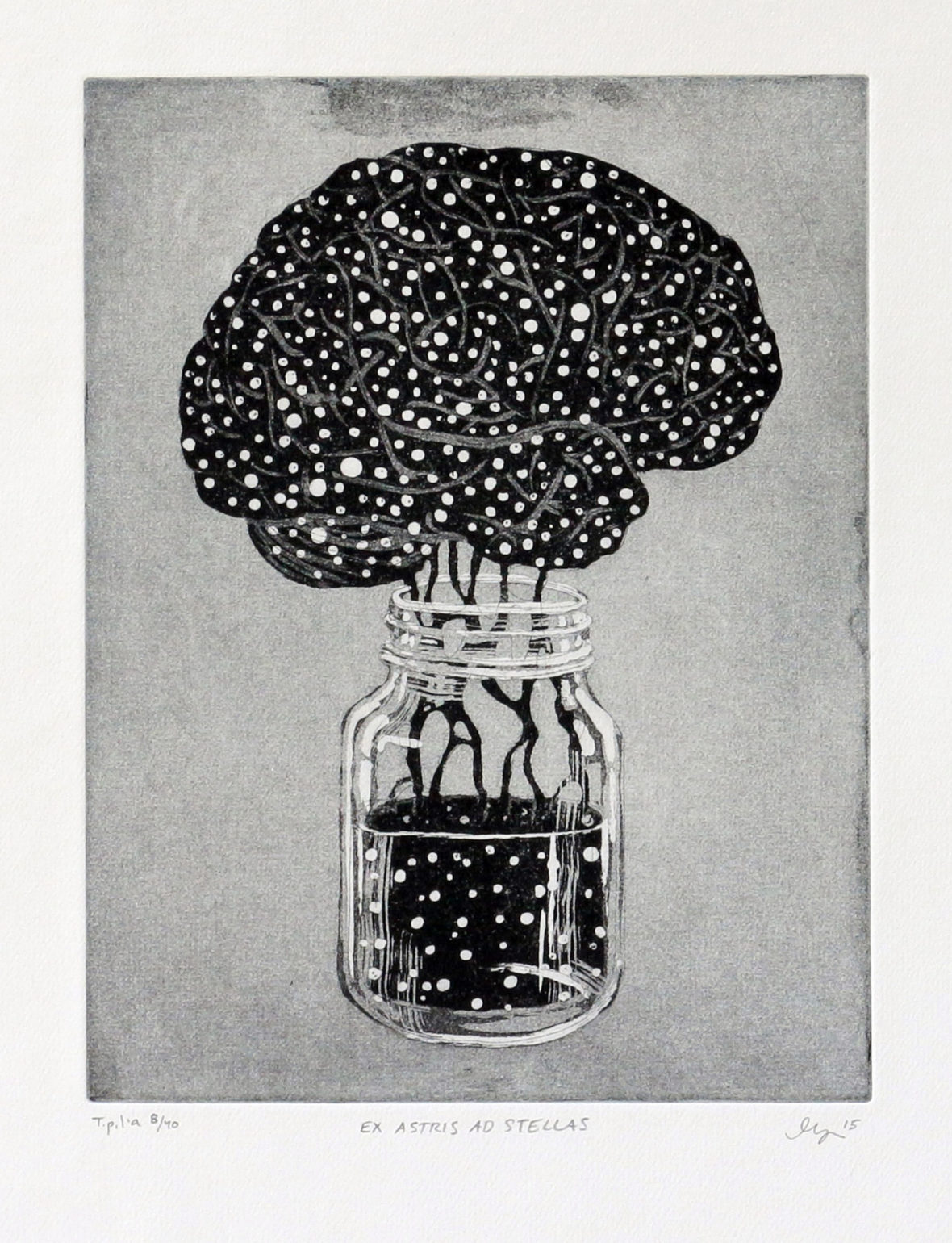 Ex astris ad stellas