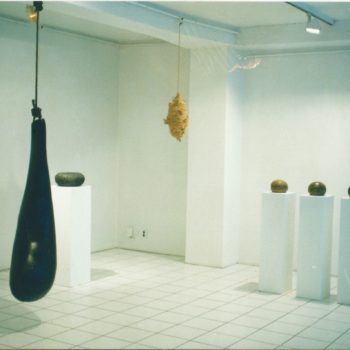 Teoksen nimi: yksityisnäyttely galleria Pirkko-Liisa Topelius 2003