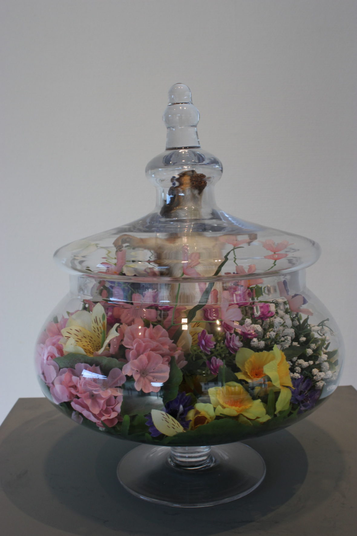 Paratiisi / Paradise