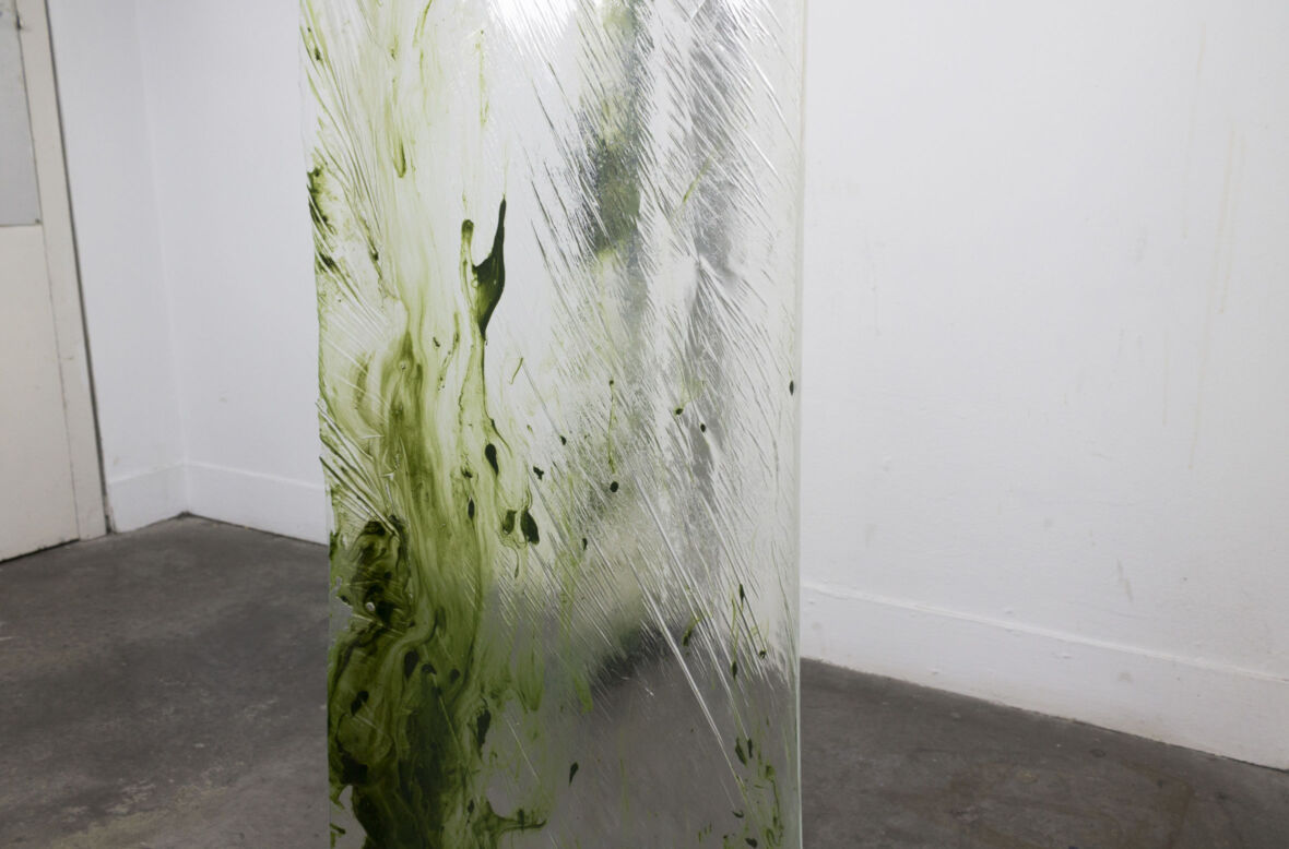 Moldy Shower Curtain