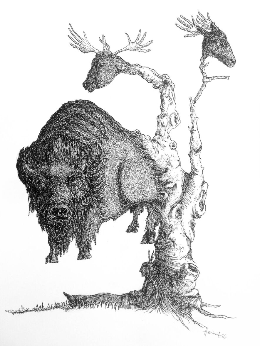 INTIAANIN UNI / DREAM OF A NATIVE INDIAN