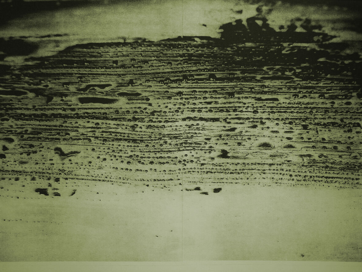 Sarjasta Tulla Kuvaksi